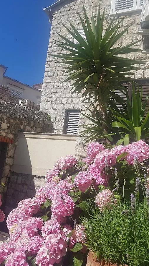 Apartment Lavanda Garden Rab Town 0*,